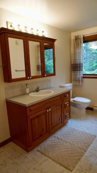 Chalet Style Cottage Near Shawnigan Lake Екстериор снимка